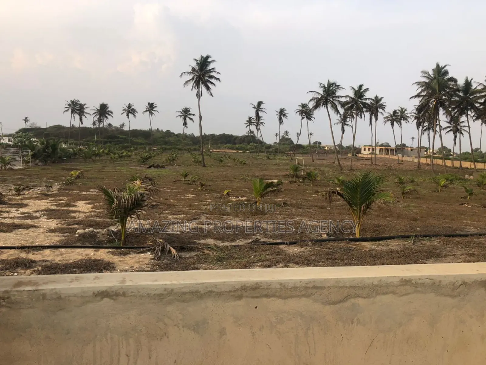 14 Plots of Beachfront Land for Sale at Prampram in Prampram