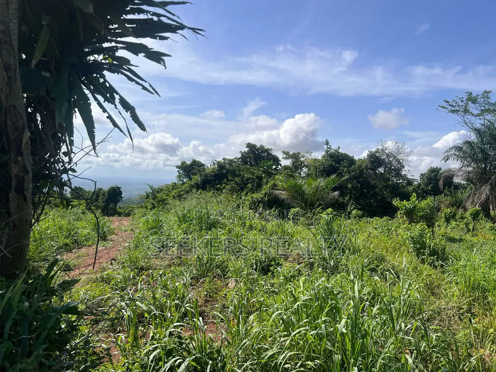 One Plot of Land D for Sale at Focus Hospital in Oyarifa