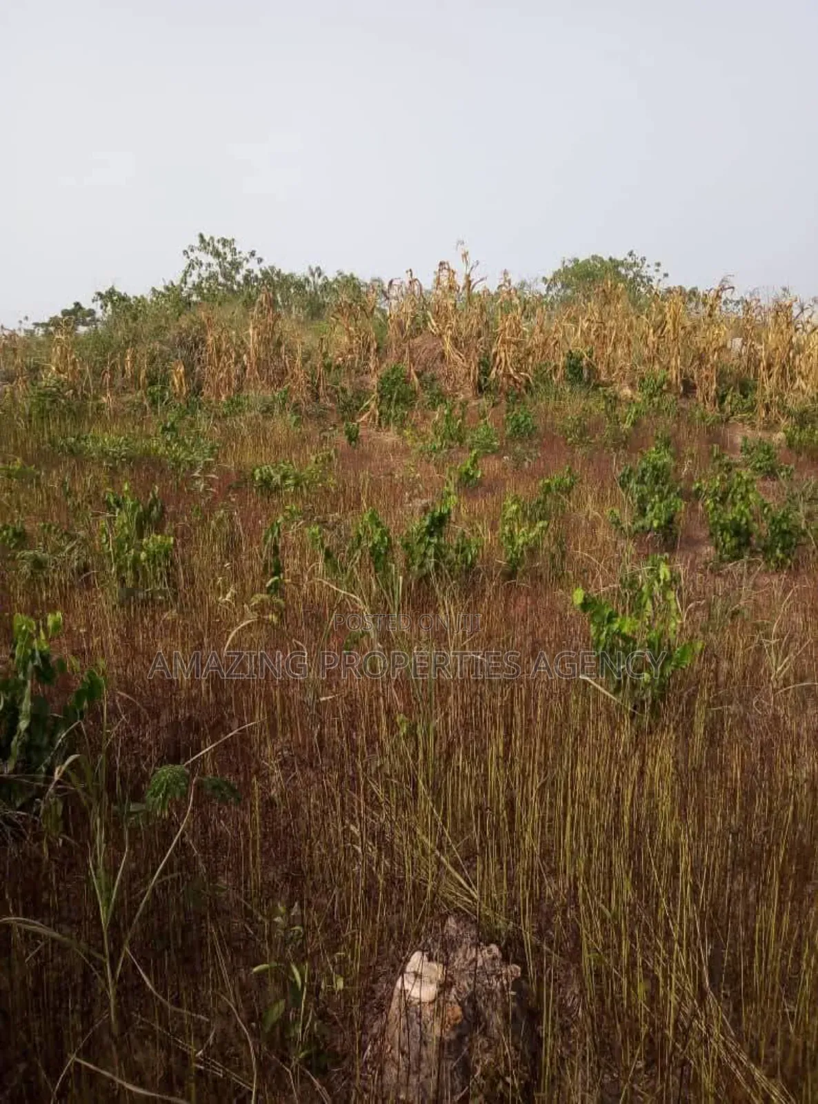 1.07 ACRES of Land for Sale at Ahodwo in Kumasi Metropolitan
