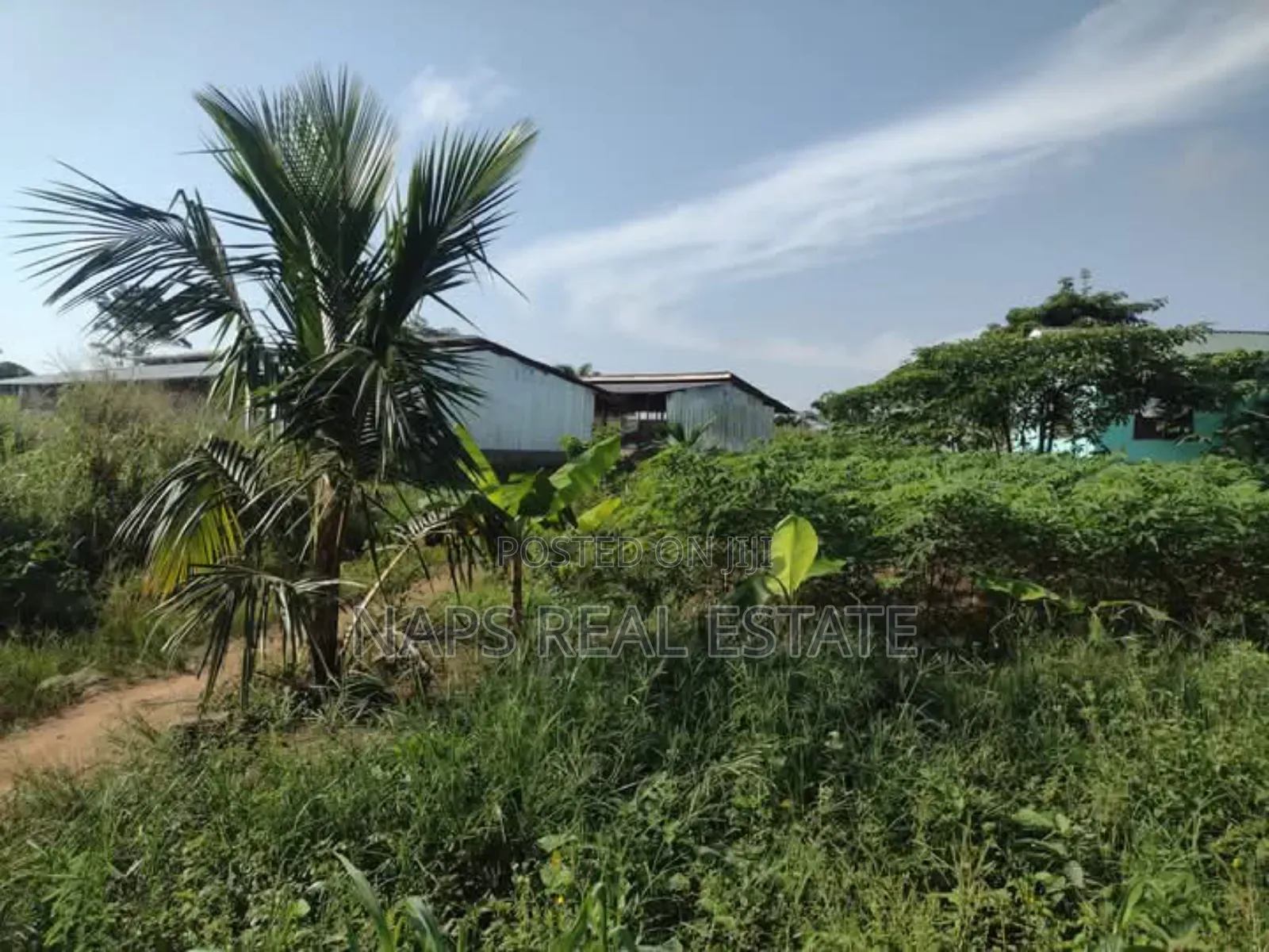 Plots of Land for Sale at Akraman-Akotsi Junction in Gomoa East