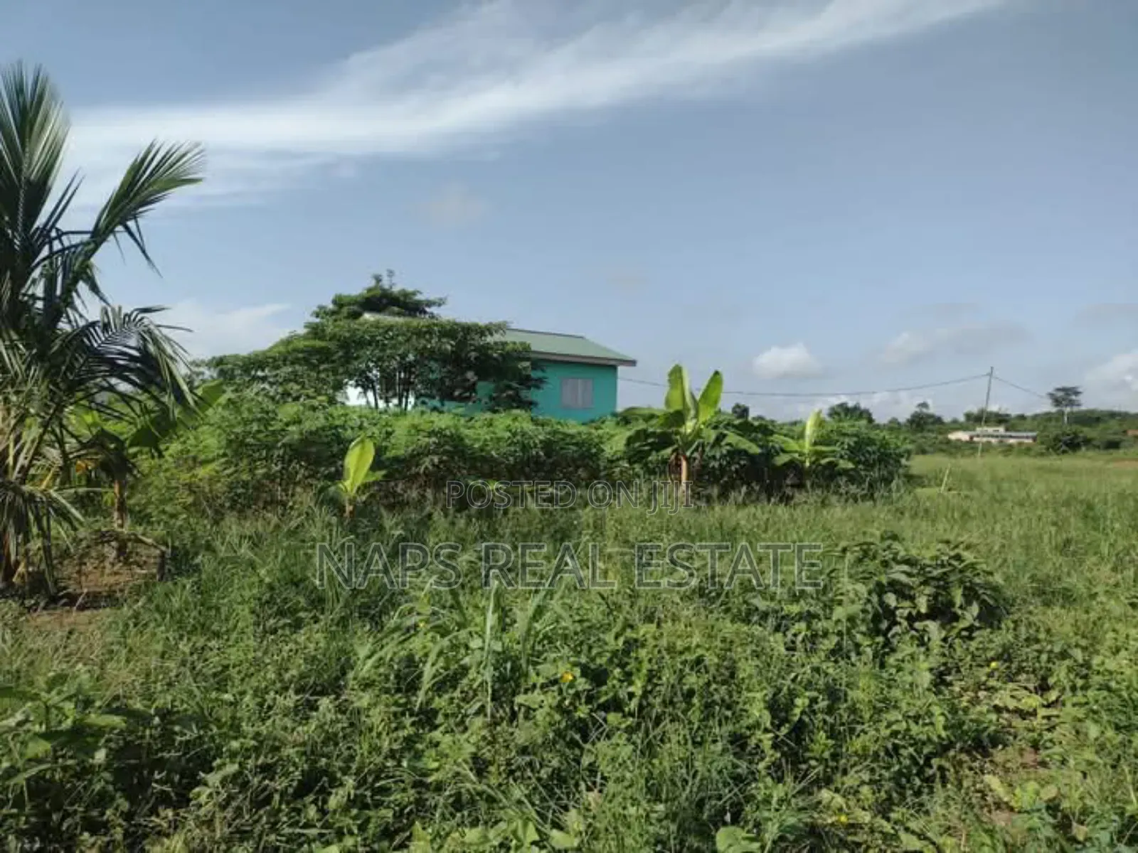 Plots of Land for Sale at Akraman-Akotsi Junction in Gomoa East