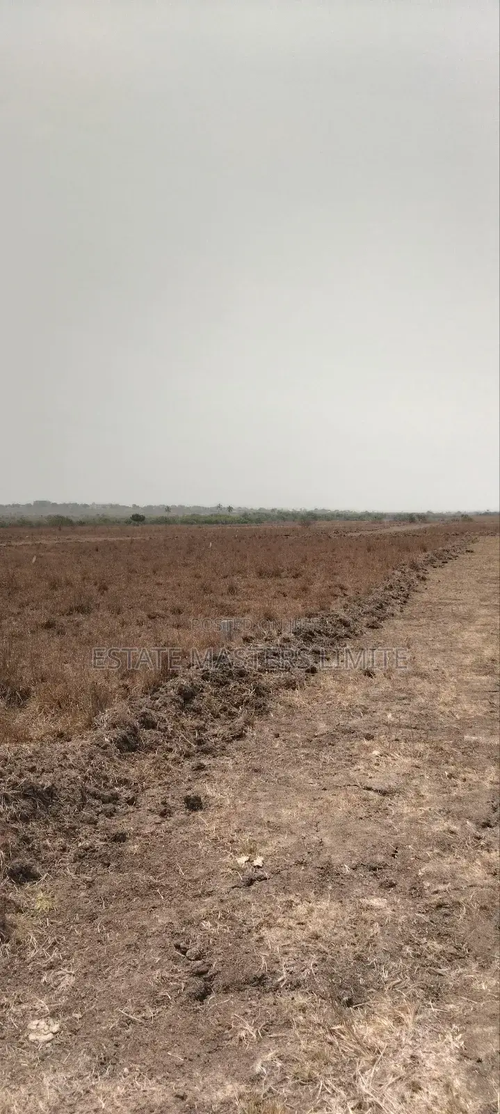 Crown Your Hustle With an Affordable Land at Ningo Prampram in Ningo-Prampram