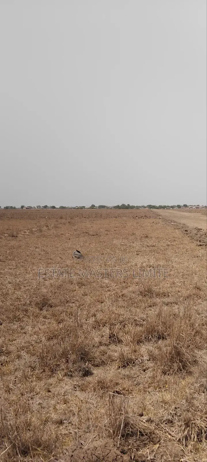 Your Space Our Search Buy a Land From Estate Masters Now in Ningo-Prampram