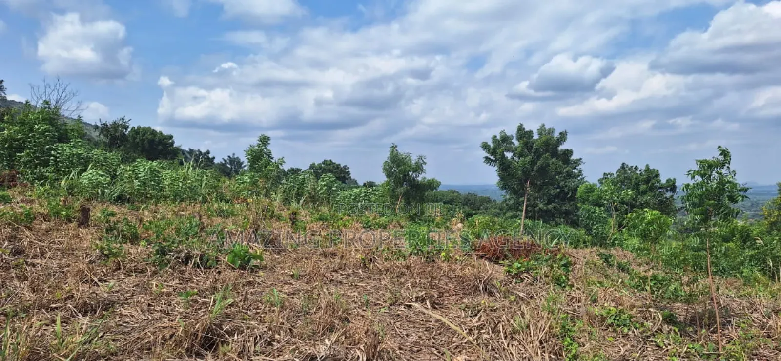 45x100 Ft Plot of Land for Sale at East Airport in Airport Residential Area