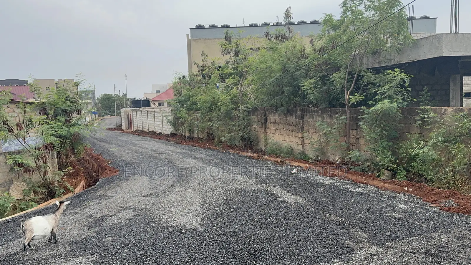 0.38 Acres of Land in Tse Addo in Airport Residential Area
