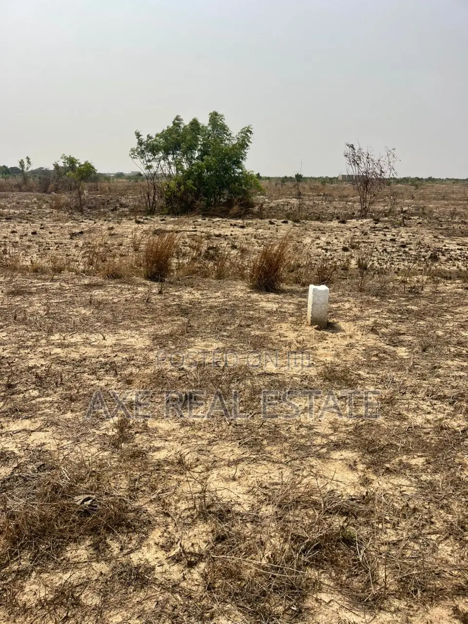 Promotional Prices on Lands With Free Documents in New Ningo