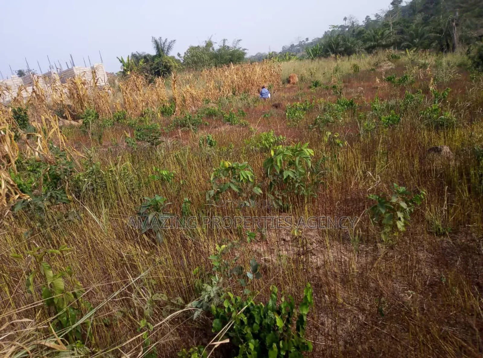 11 ACRES of Land for Sale at Tema Industrial Area in Tema Metropolitan
