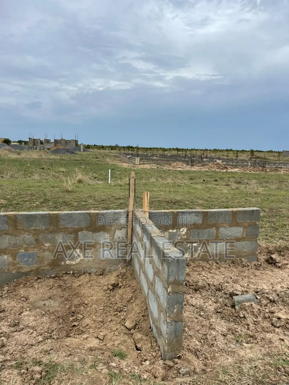 Make Titled Lands Your Own in New Ningo