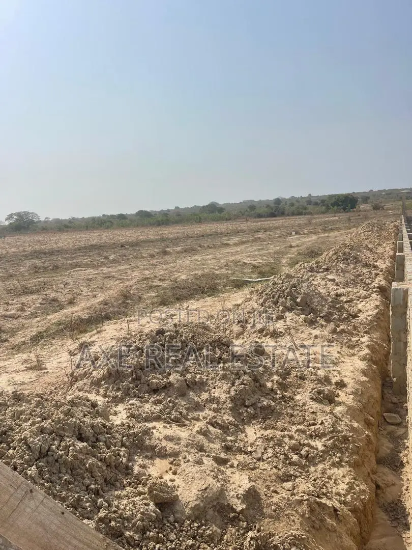 Fast Developing Plots on Sales in New Ningo