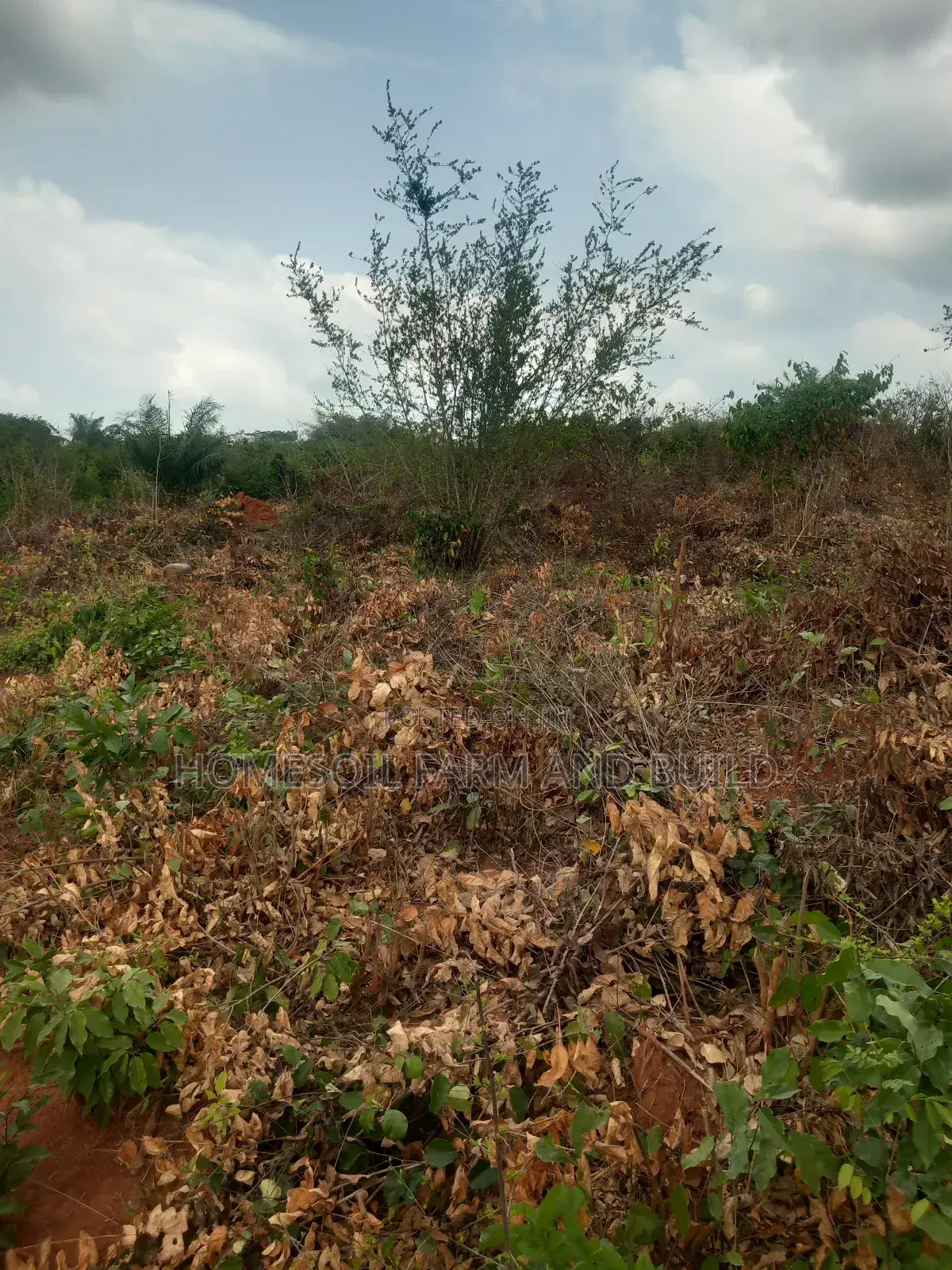 2.0 Acres of Land for Sale in Gomoa West