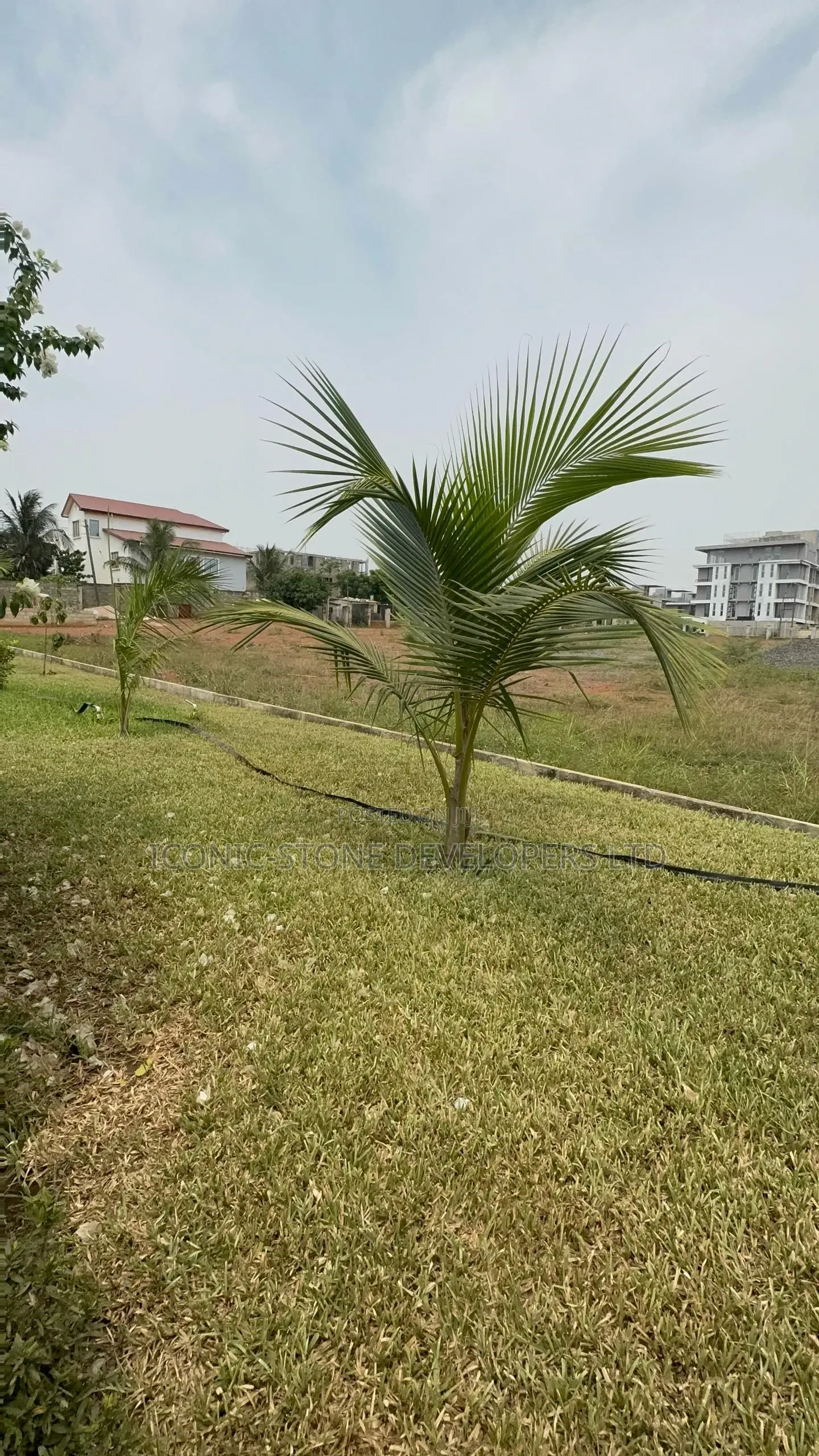 3 Acres of Land at Tse Addo for Sale in Airport Residential Area