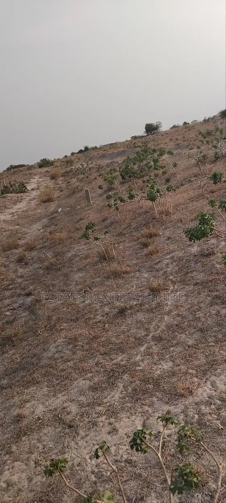 Build With Comfort and Style Buy a Land at Tsopoli in Ningo-Prampram