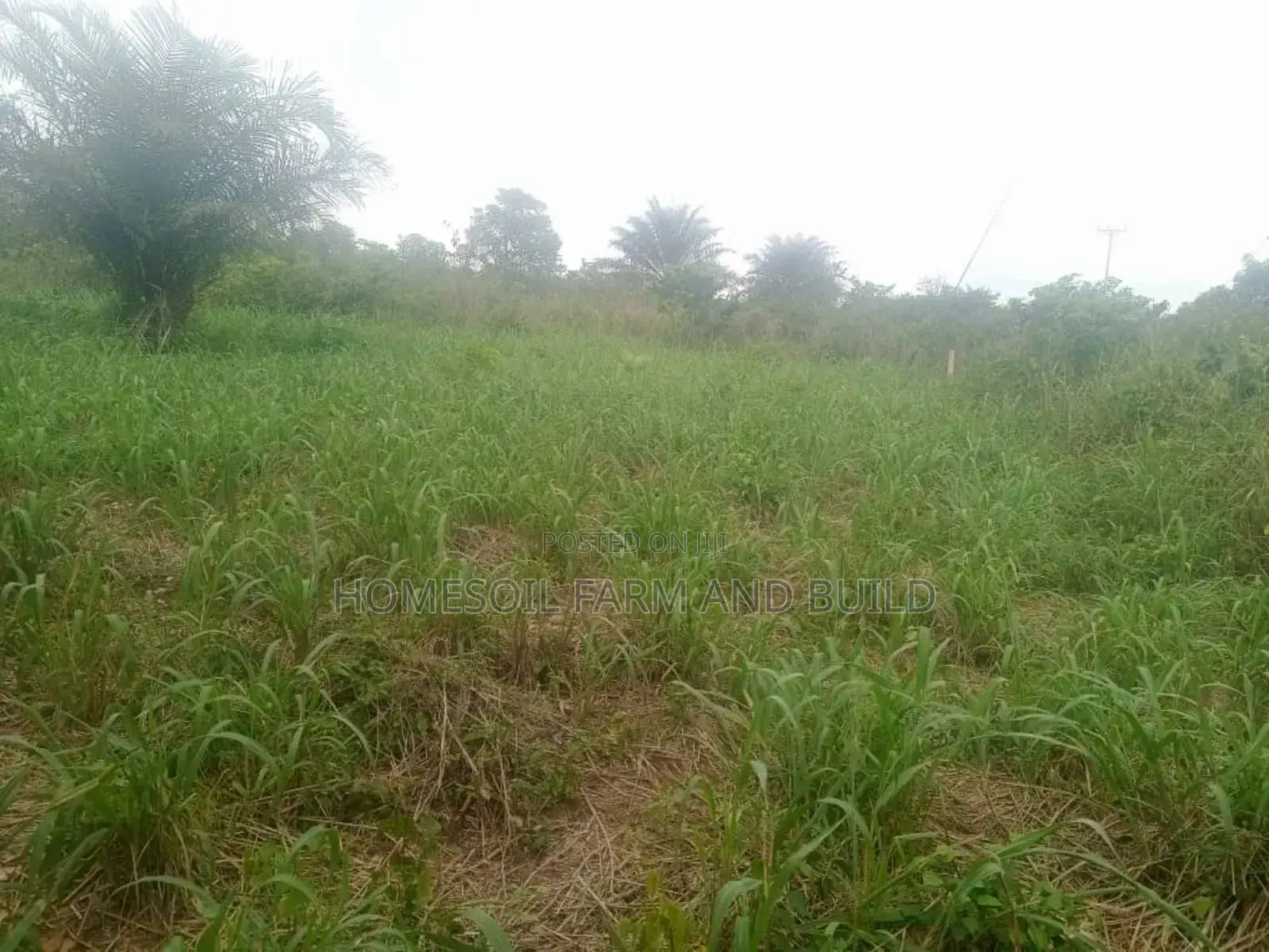 10 Acres of Farmland at Gomoa Odumase for Lease in Gomoa West