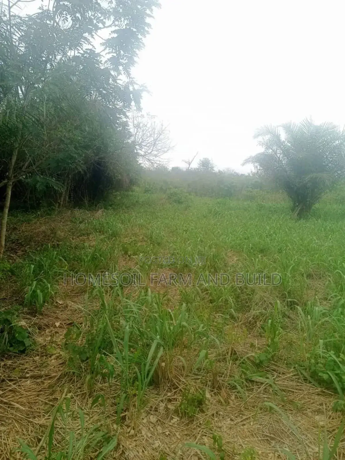 10 Acres of Farmland at Gomoa Odumase for Lease in Gomoa West