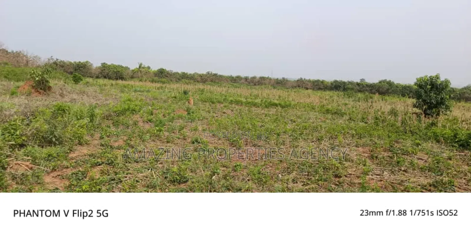 200 Acres at Omenako Suhum Road for Ghc25.000 Per Acre in Suhum/Kraboa/Coaltar