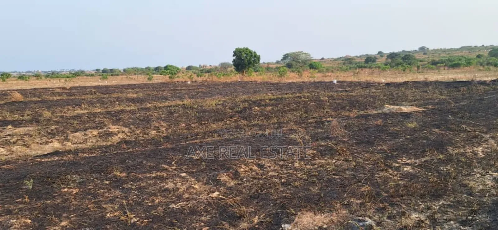 Genuine Estate Plot Allocation at Afienya - Shai Hills in Accra Metropolitan