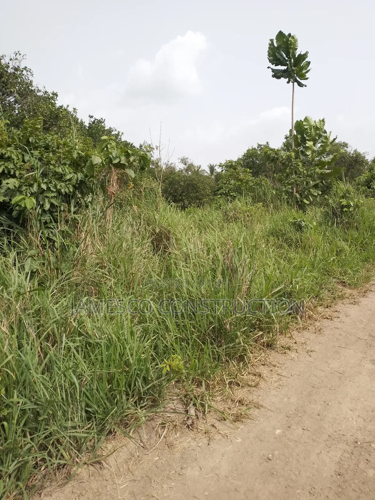 Registered 10,000 Of Farmland For Sale in Akuapim North