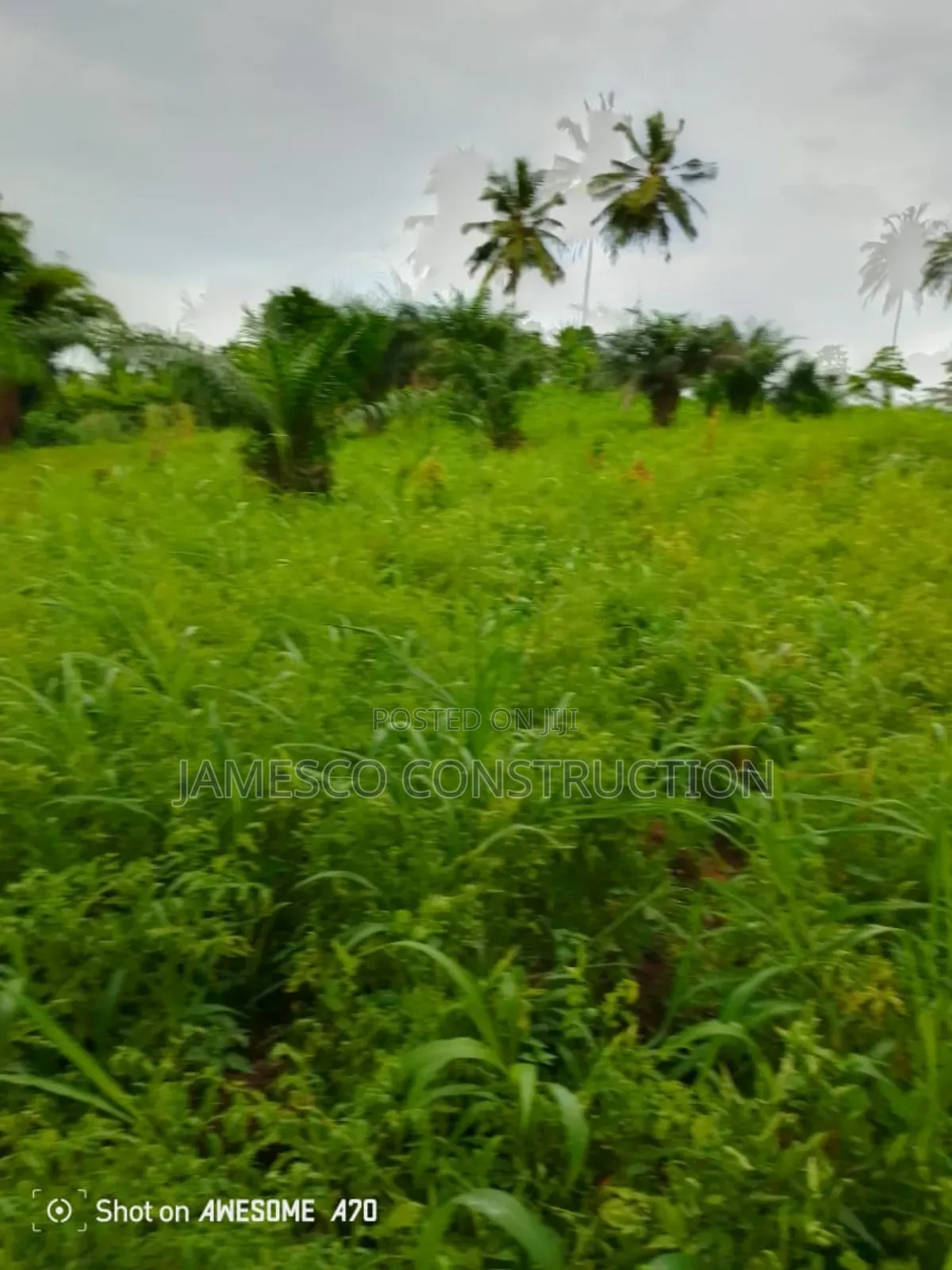 Registered 14,000 Acres of Farmland for Sale in Akuapim North