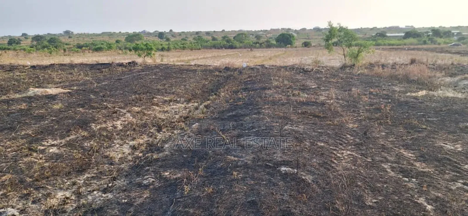 Free Estate Land Documents at Afienya - Shai Hills in Accra Metropolitan