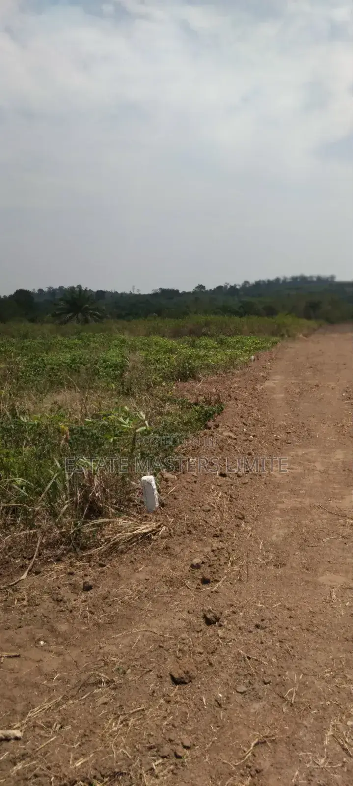 Flat Land Available at Panfokrom for Sale in Gomoa East