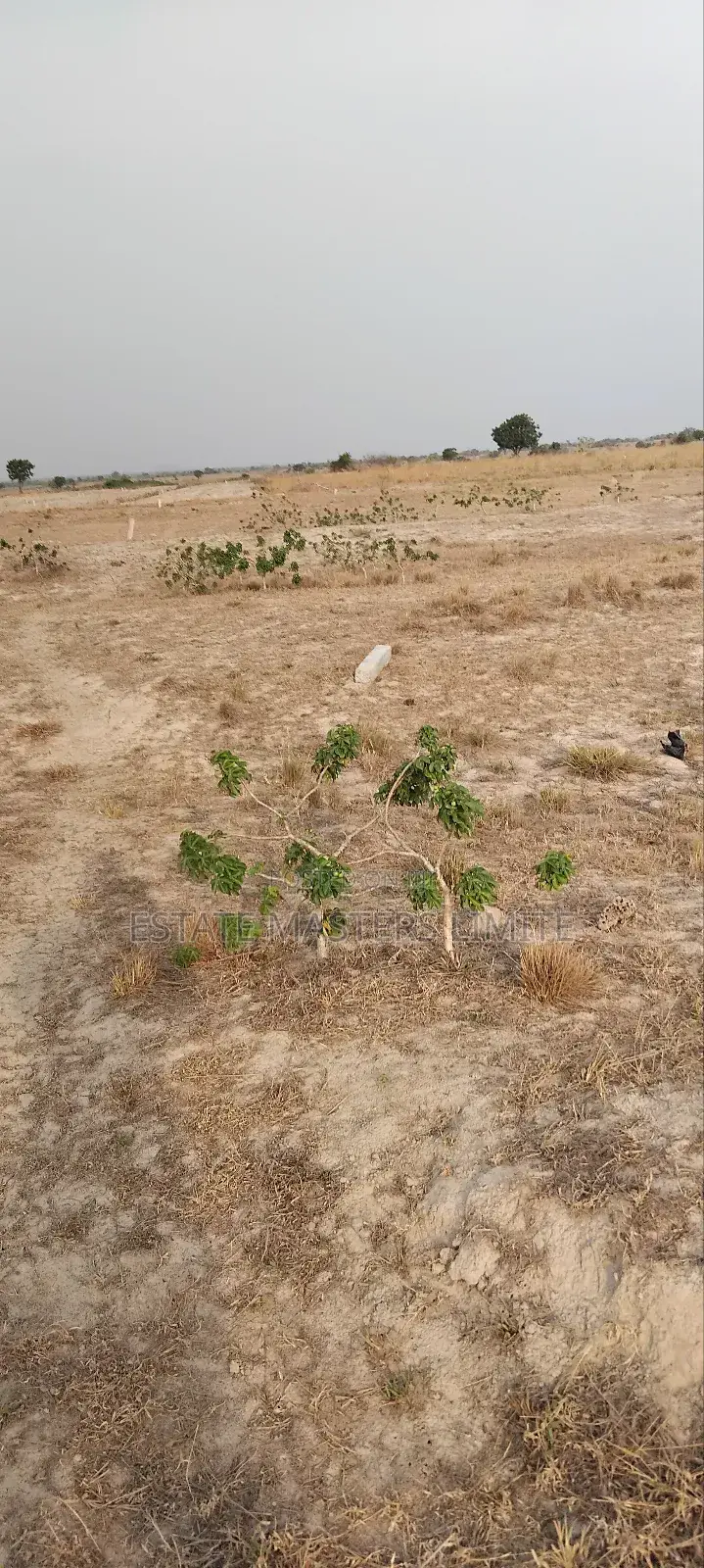 Tsopoli Your Prime Location Buy Affordable Plot of Land in Ningo-Prampram
