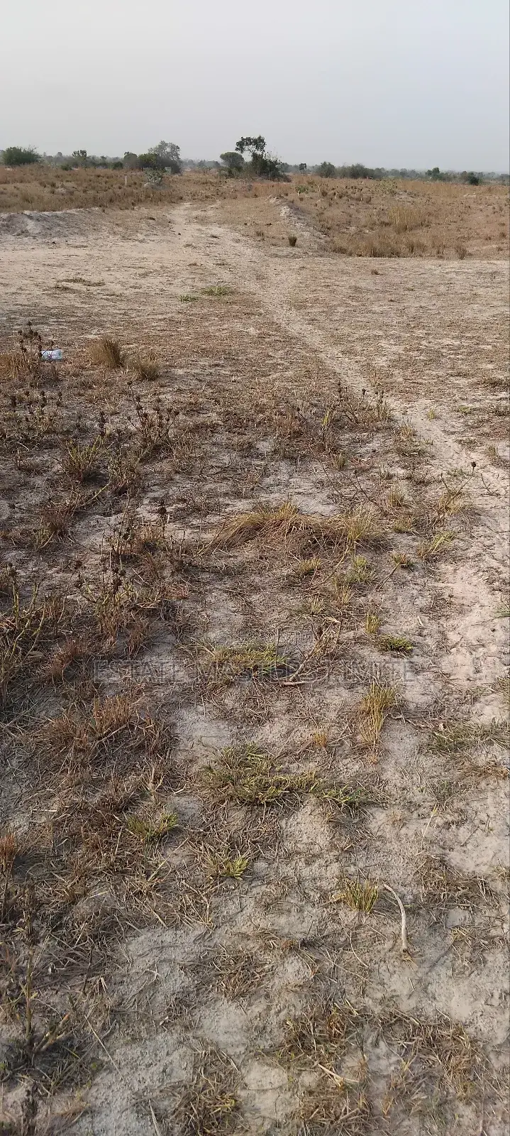 Let Tsopoli Be Your Next Home Buy a Plot of Land Now in Ningo-Prampram