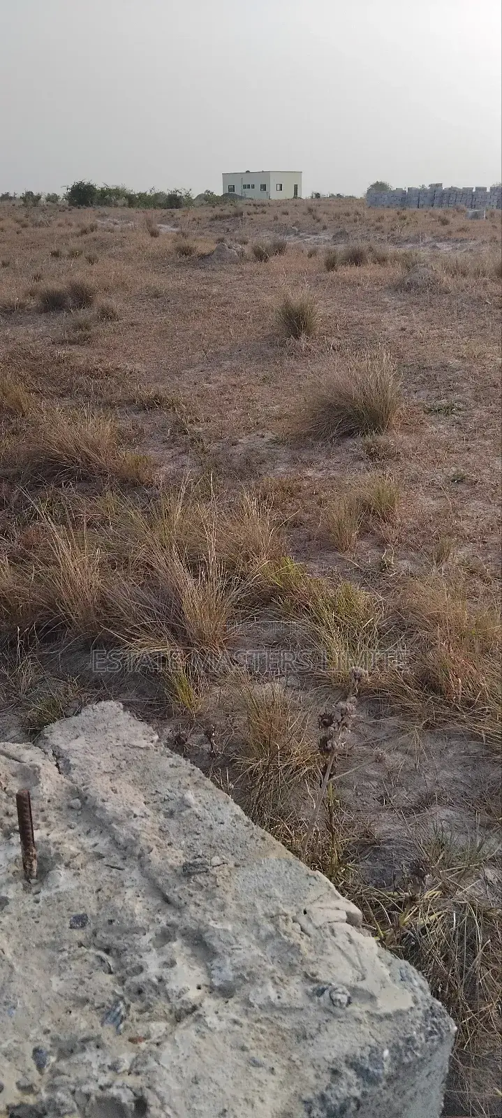 Beautiful Beach View Land at Ningo Prampram for Sale in Ningo-Prampram