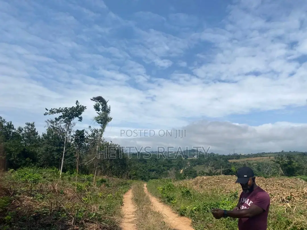 25 Acres Land for Sale Behind the Mampong Research Institute in Mampong Municipal