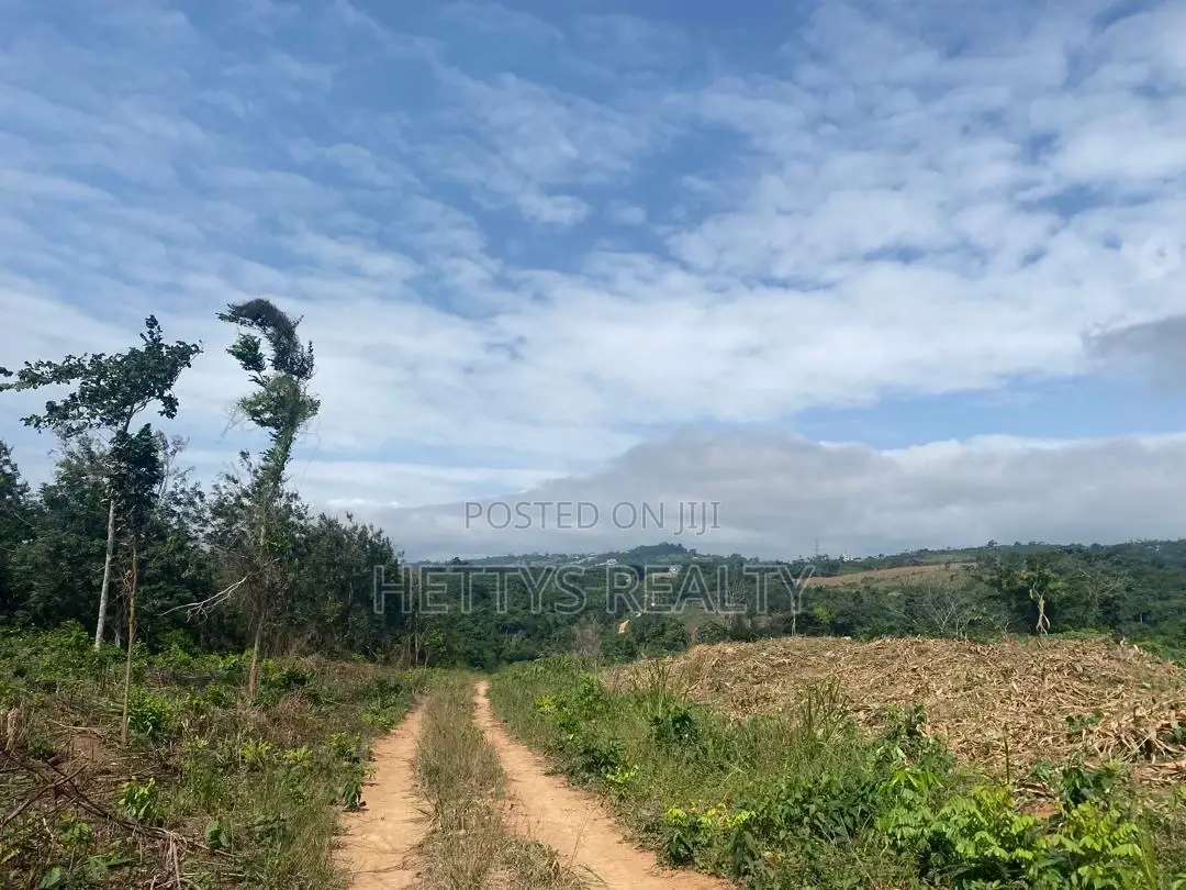 25 Acres Land for Sale Behind the Mampong Research Institute in Mampong Municipal