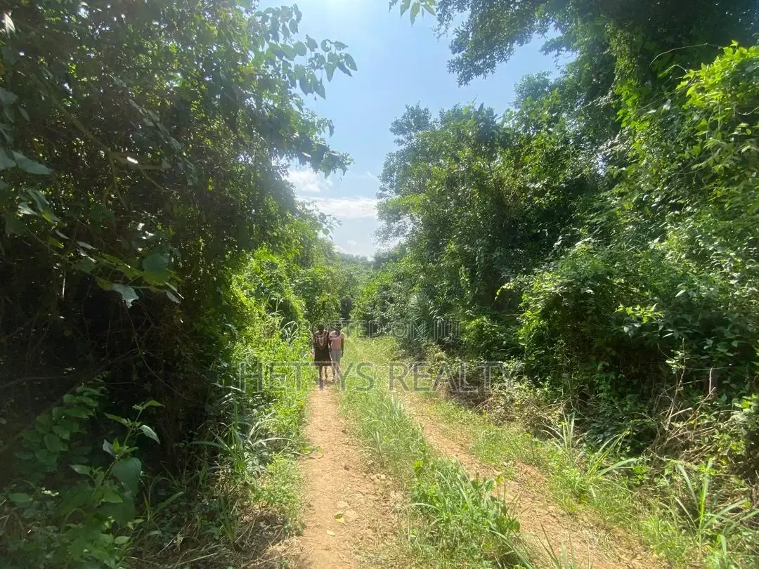 25 Acres Land for Sale Behind the Mampong Research Institute in Mampong Municipal
