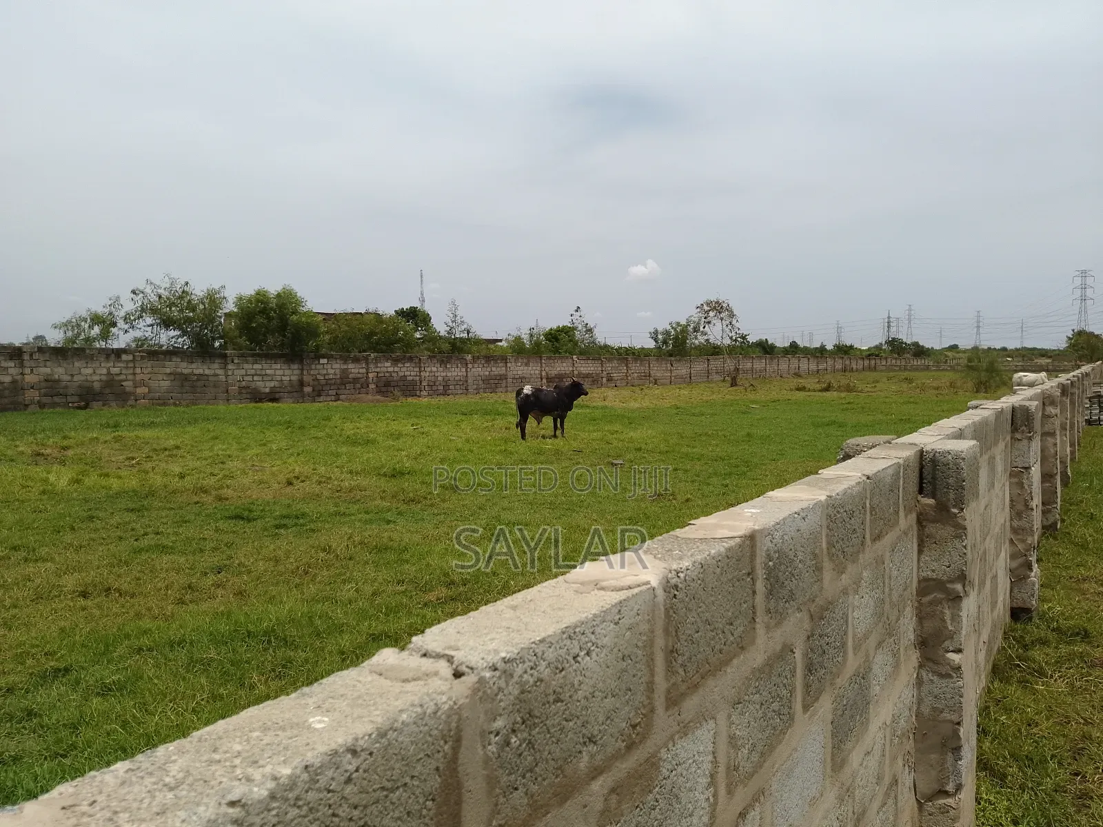 Confirmed Lands for Sale, Just Call Thanks in Tema Metropolitan