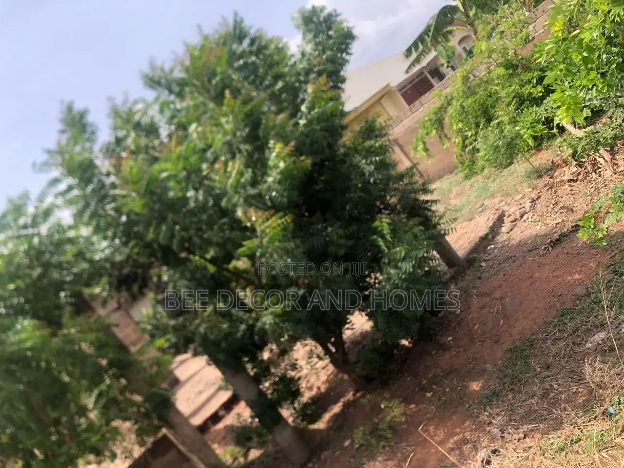 2 Plots at Animal Research for Sale in Adenta