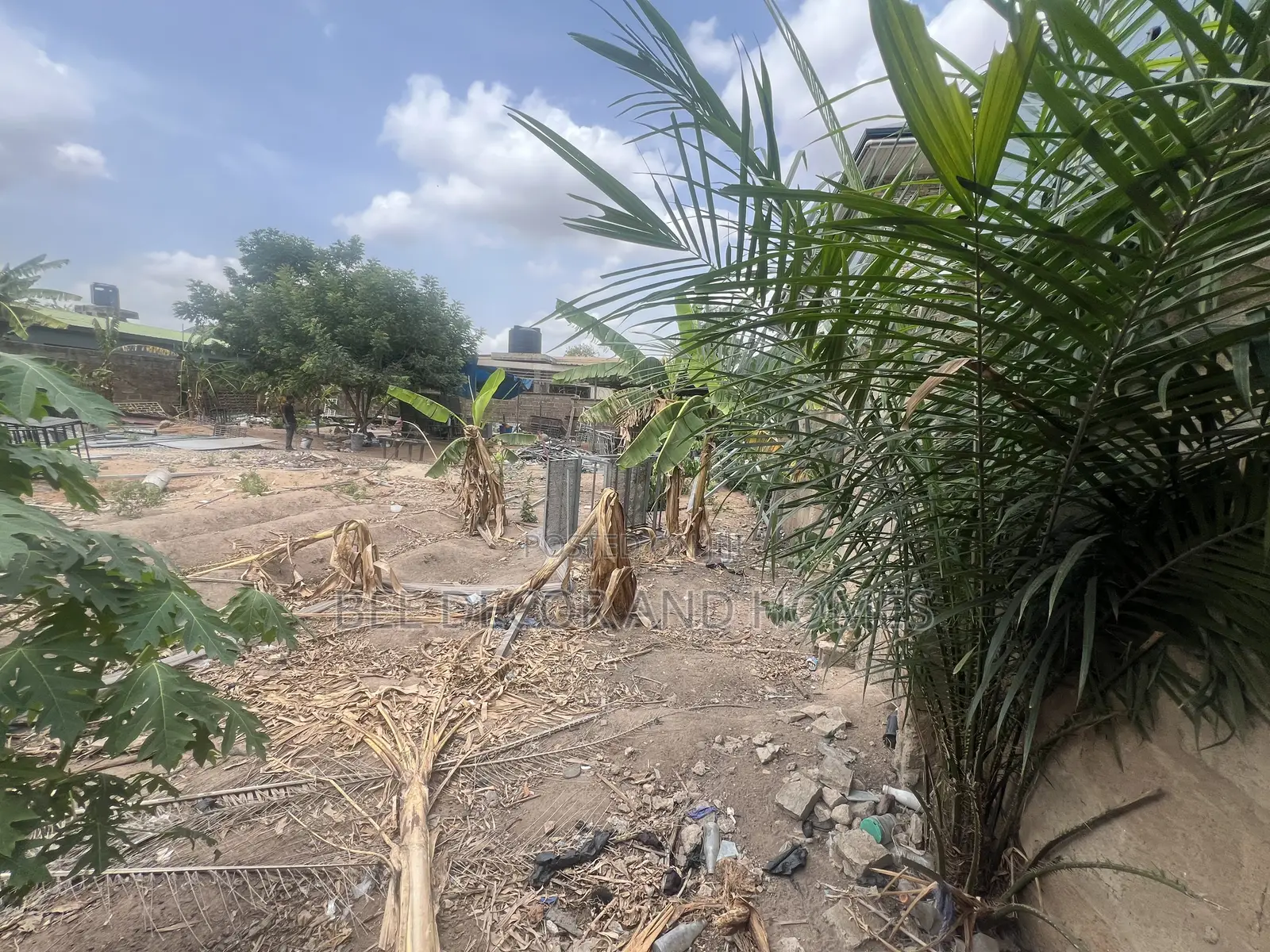 Sweet Located Land For Sale in Adenta