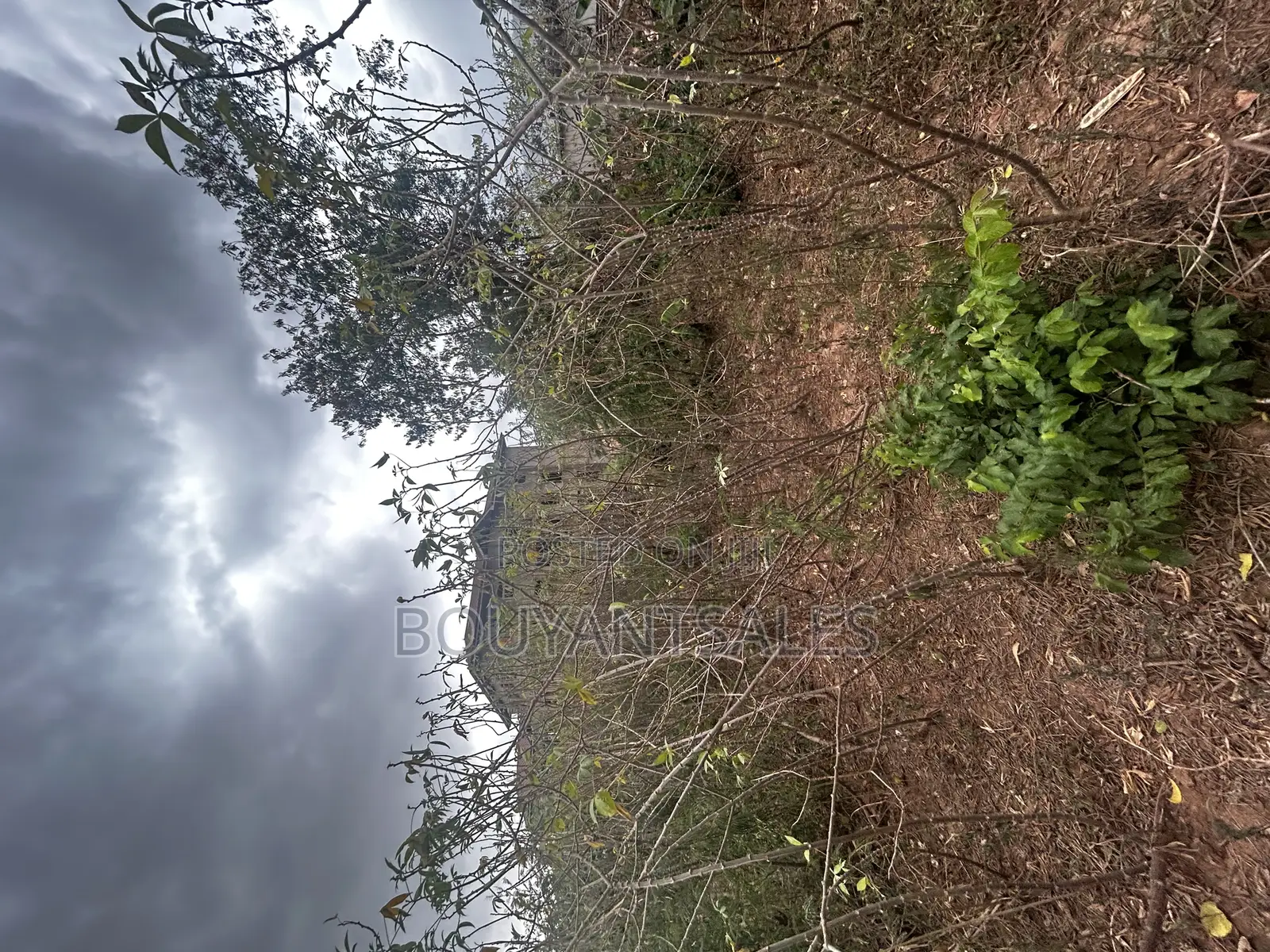 Titled 3 Acres of Land for Sale at Abokobi in Abokobi