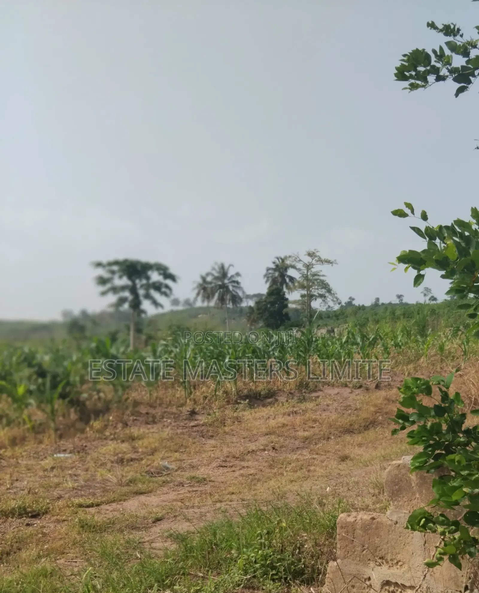 Build On A Discounted Plots For Sale At Dominase in Gomoa East
