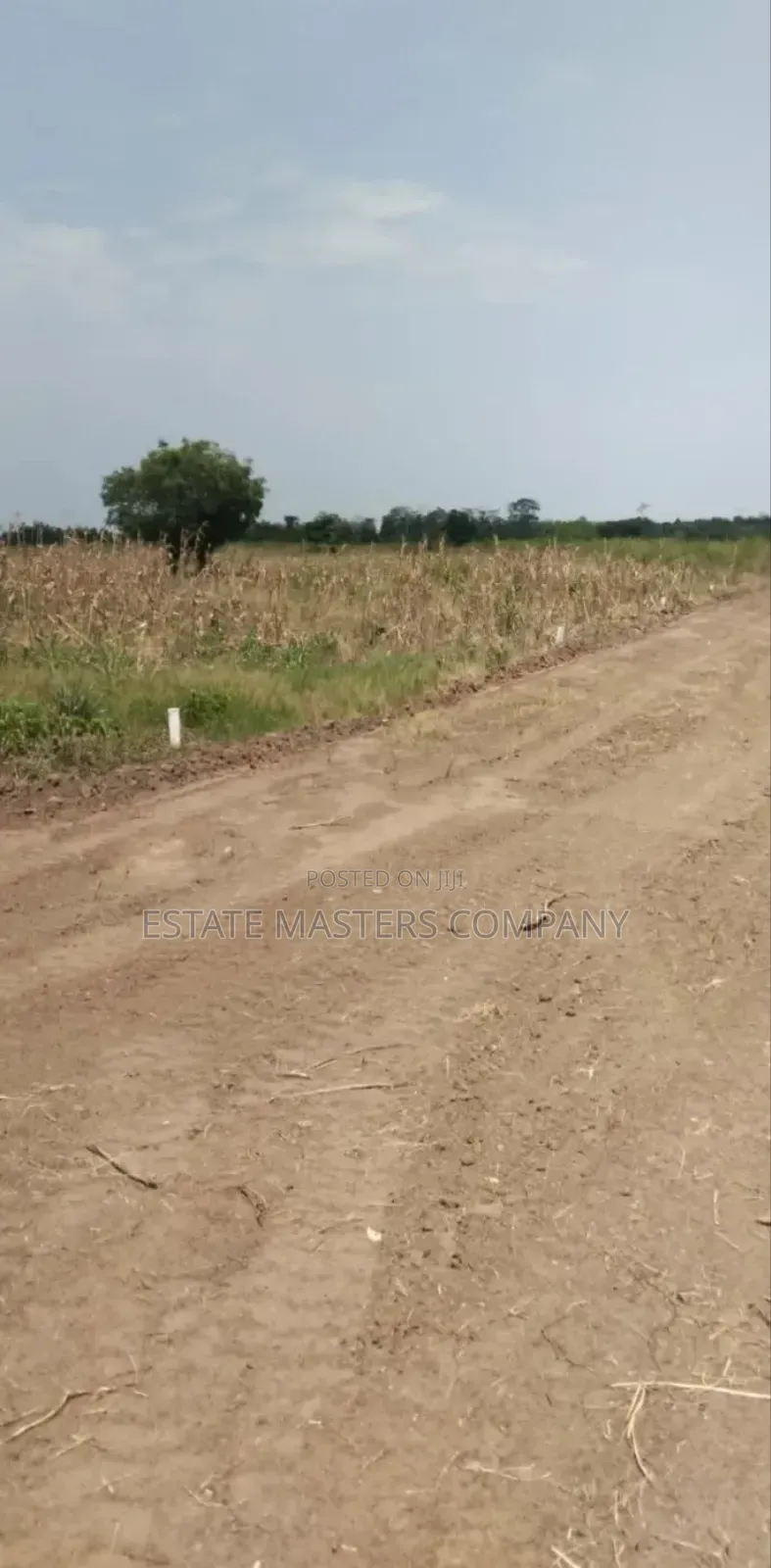 Well Organised Site at Panfokrom for Your Project in Kasoa
