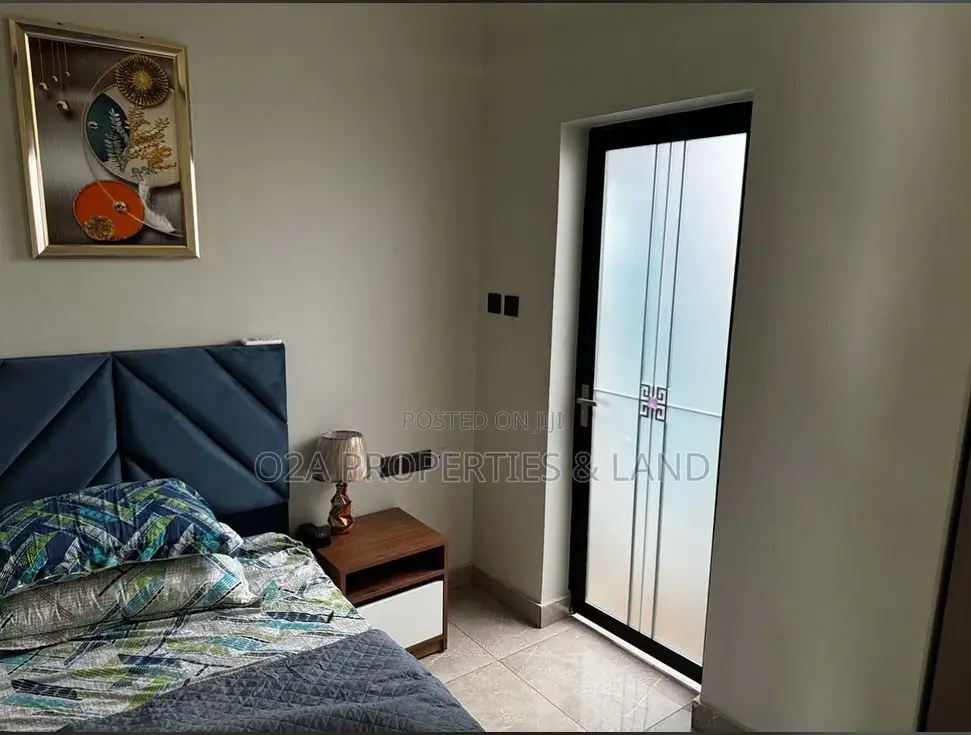 Furnished 4bdrm House in Cantonments, Acquinas for rent in Acquinas
