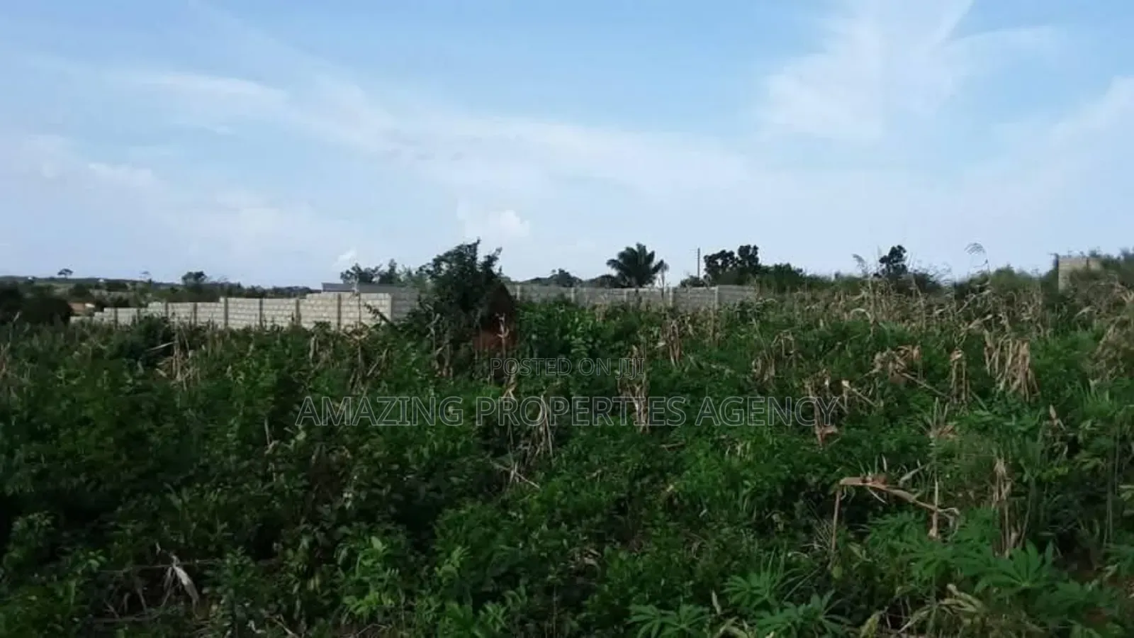 2.3 Acres of Land at Labone. in Labone