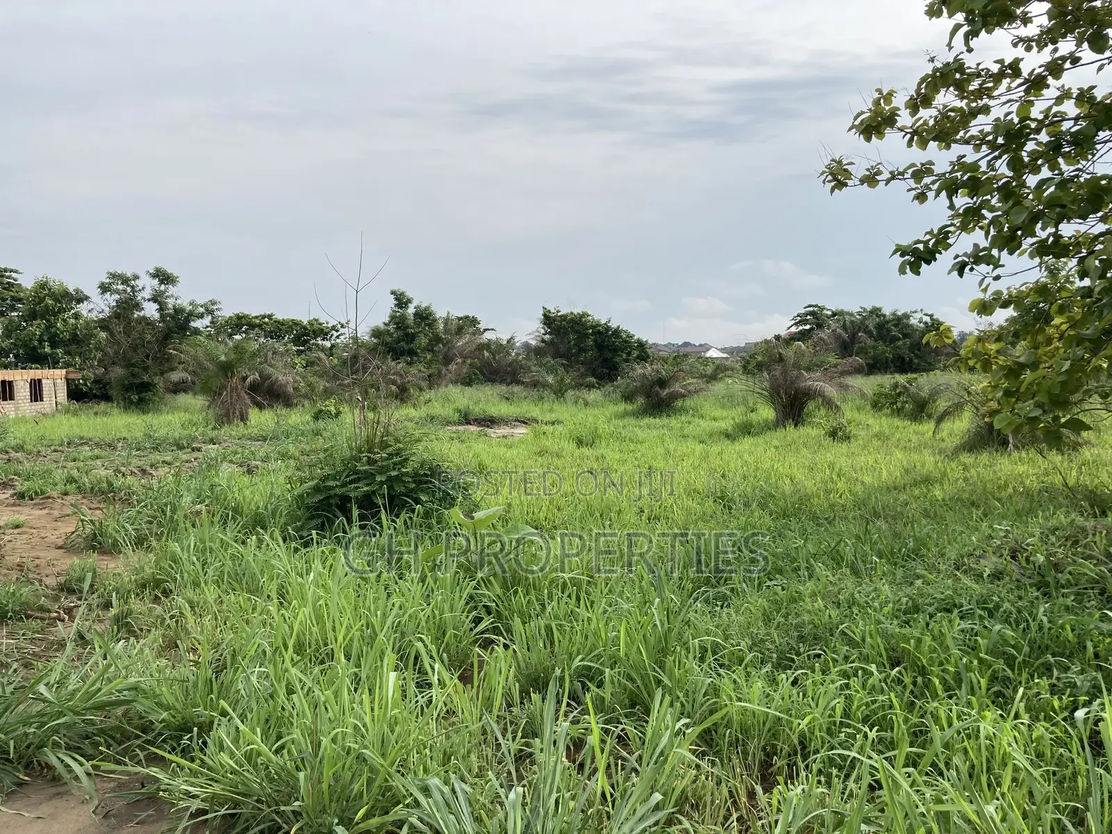 Half Plot for Sale at Sokoban Afracho. in Kumasi Metropolitan