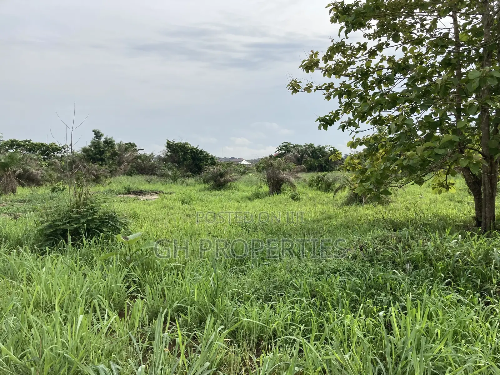 Half Plot for Sale at Sokoban Afracho. in Kumasi Metropolitan