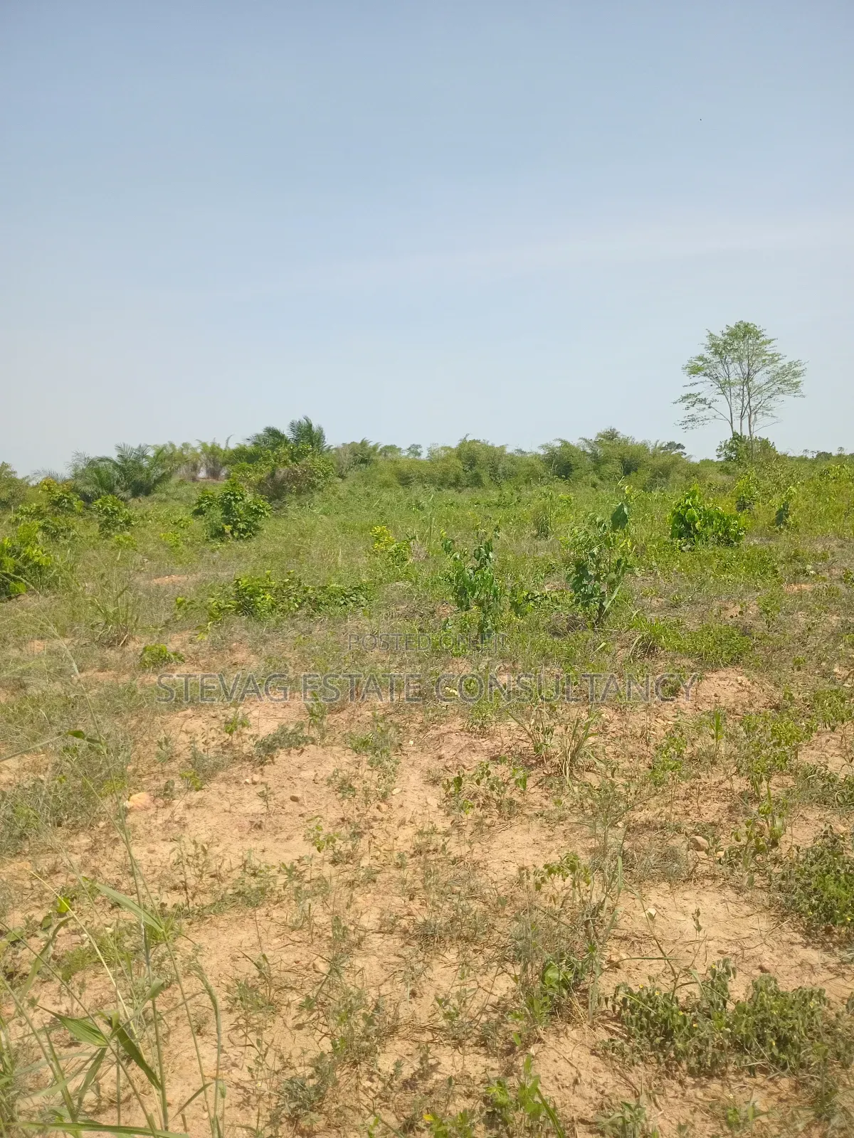 1 Acre of Land at Kasoa Akraman for Sale in Gomoa East