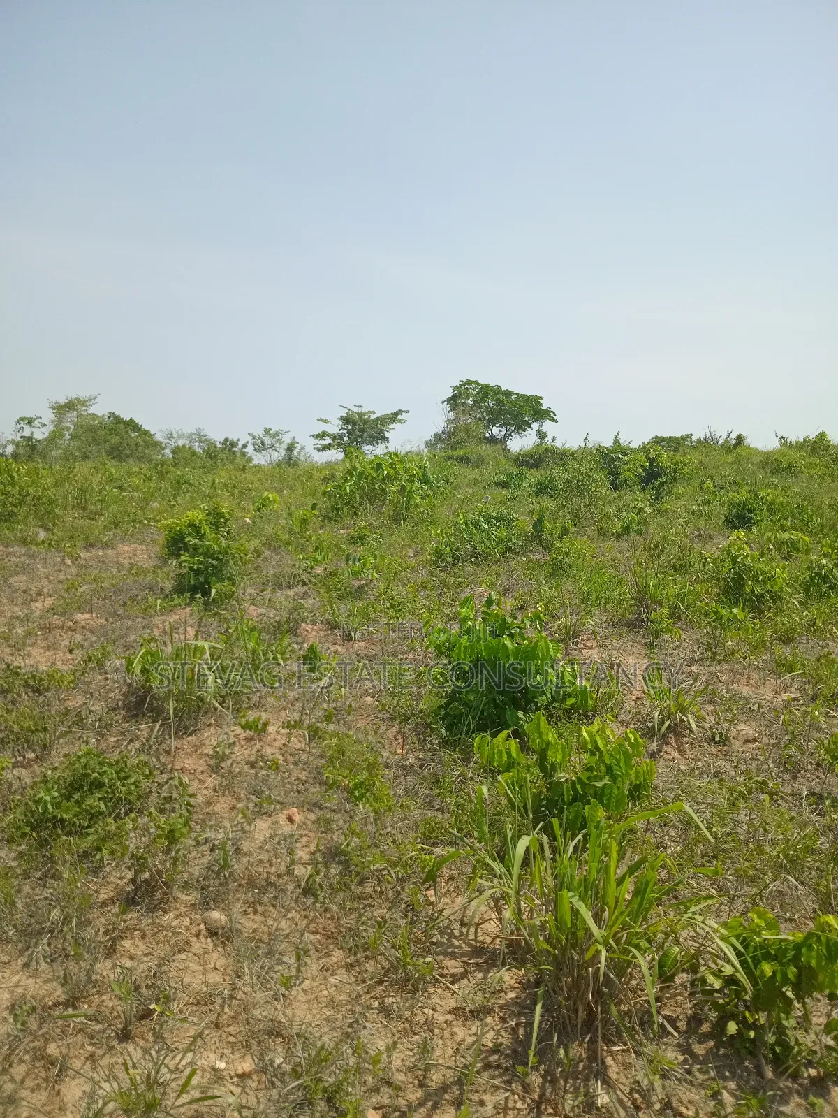 1 Acre of Land at Kasoa Akraman for Sale in Gomoa East