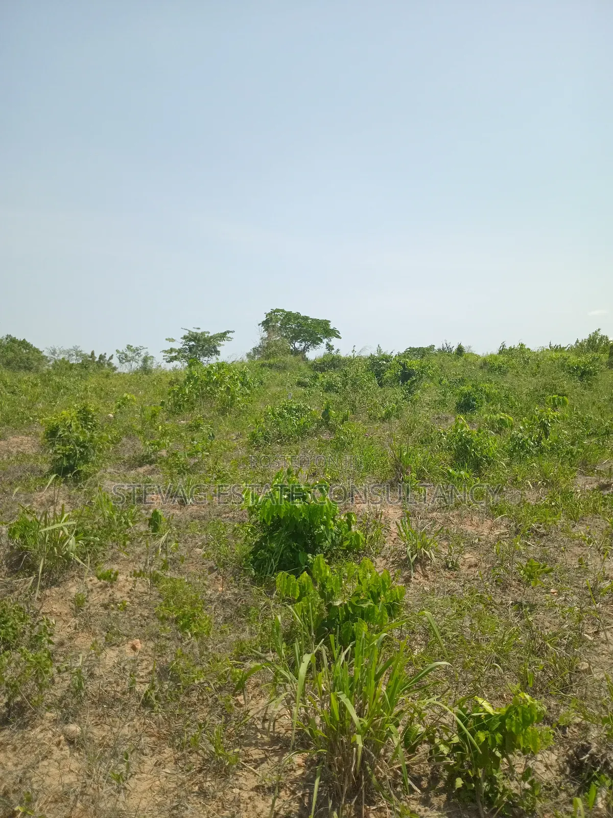 1 Acre of Land at Kasoa Akraman for Sale in Gomoa East