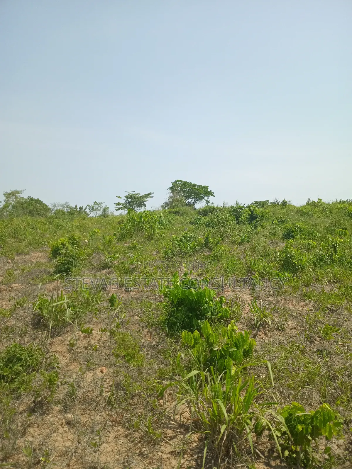 1 Acre of Land at Kasoa Akraman for Sale in Gomoa East
