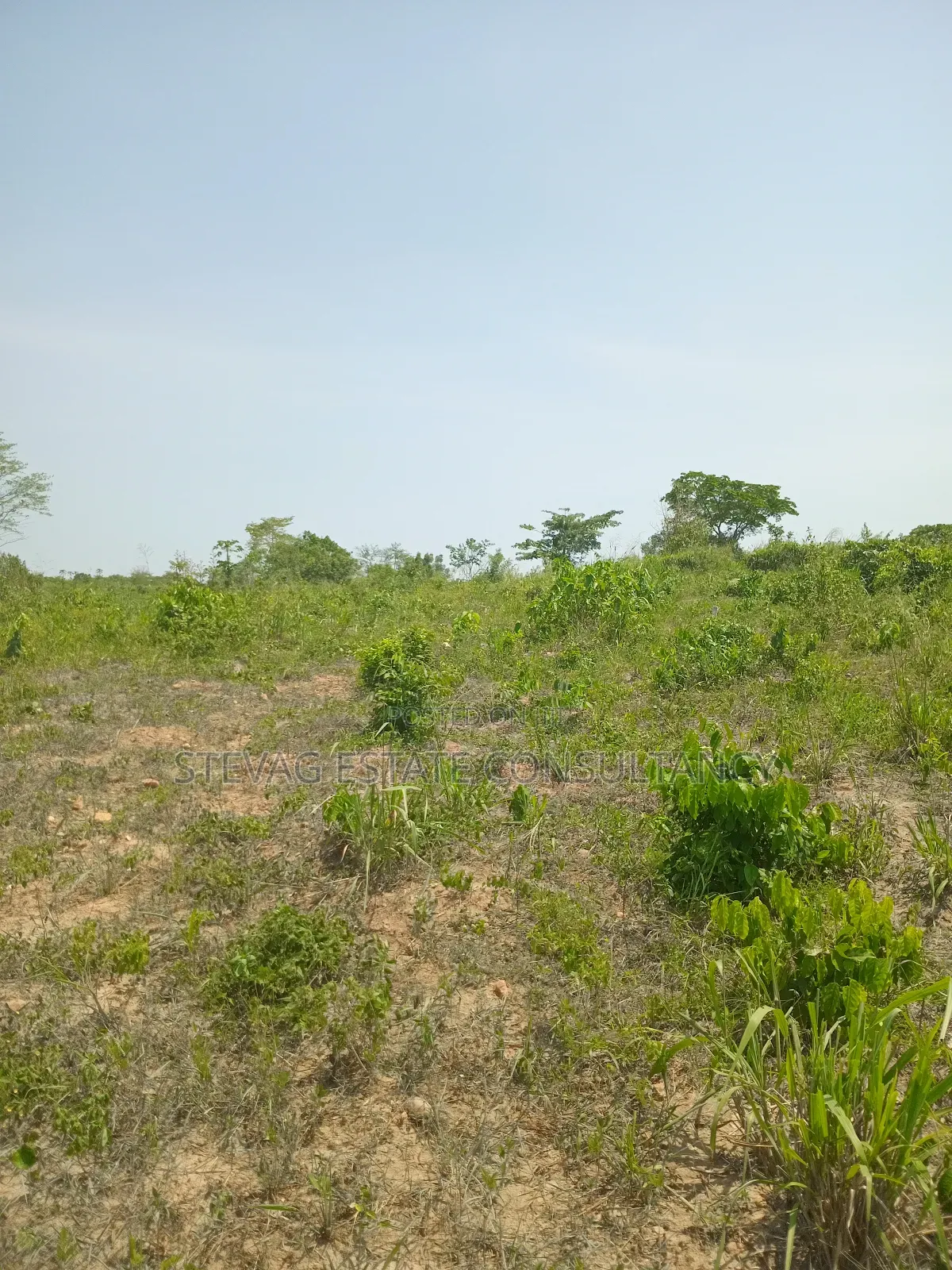 Estate Land for Sale at Amasaman Obom Ashifla in Ga South Municipal