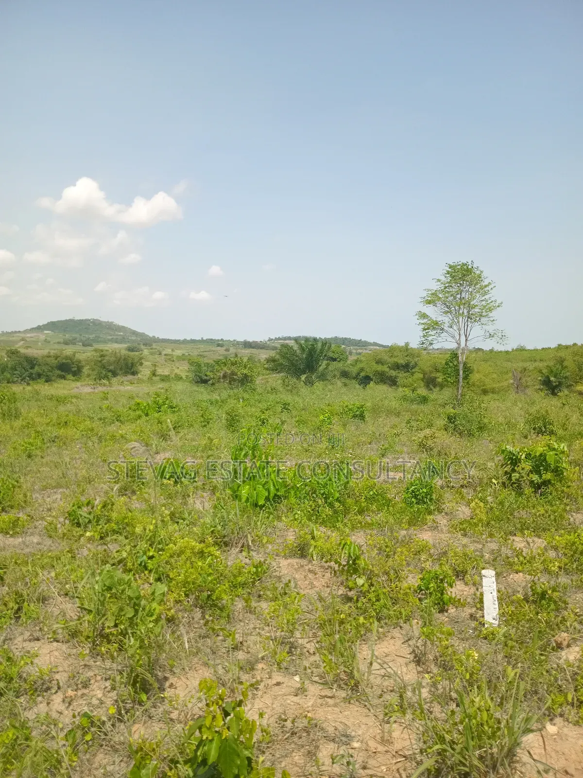 Estate Land for Sale at Amasaman Obom Ashifla in Ga South Municipal