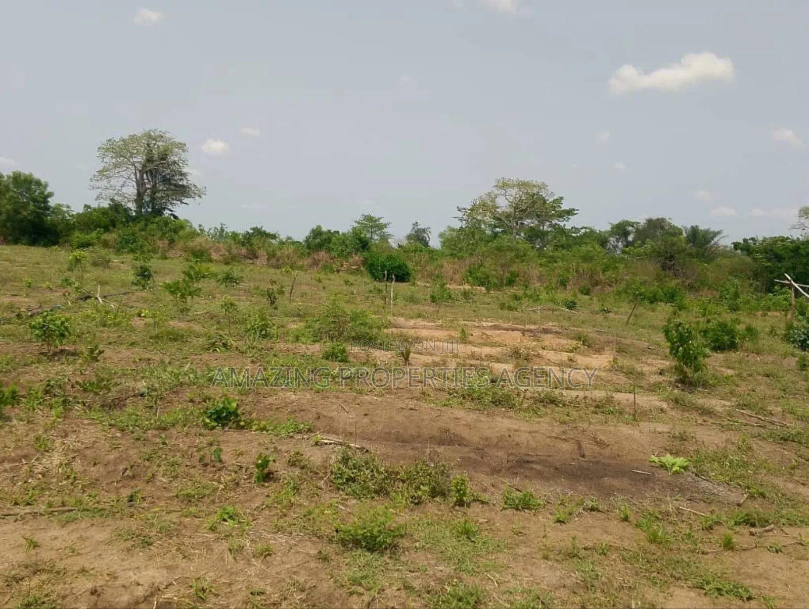 12 Plots of Land for Sale at Kokrobite in Bortiano