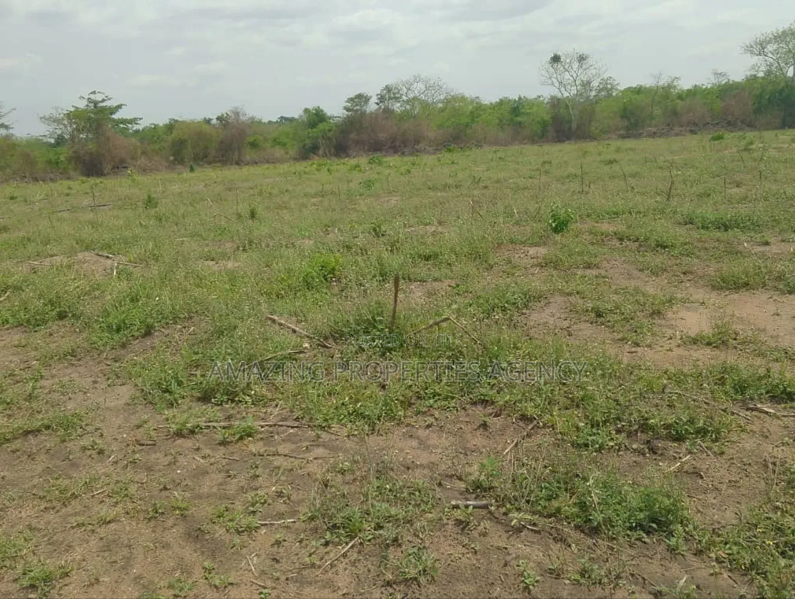 12 Plots of Land for Sale at Kokrobite in Bortiano