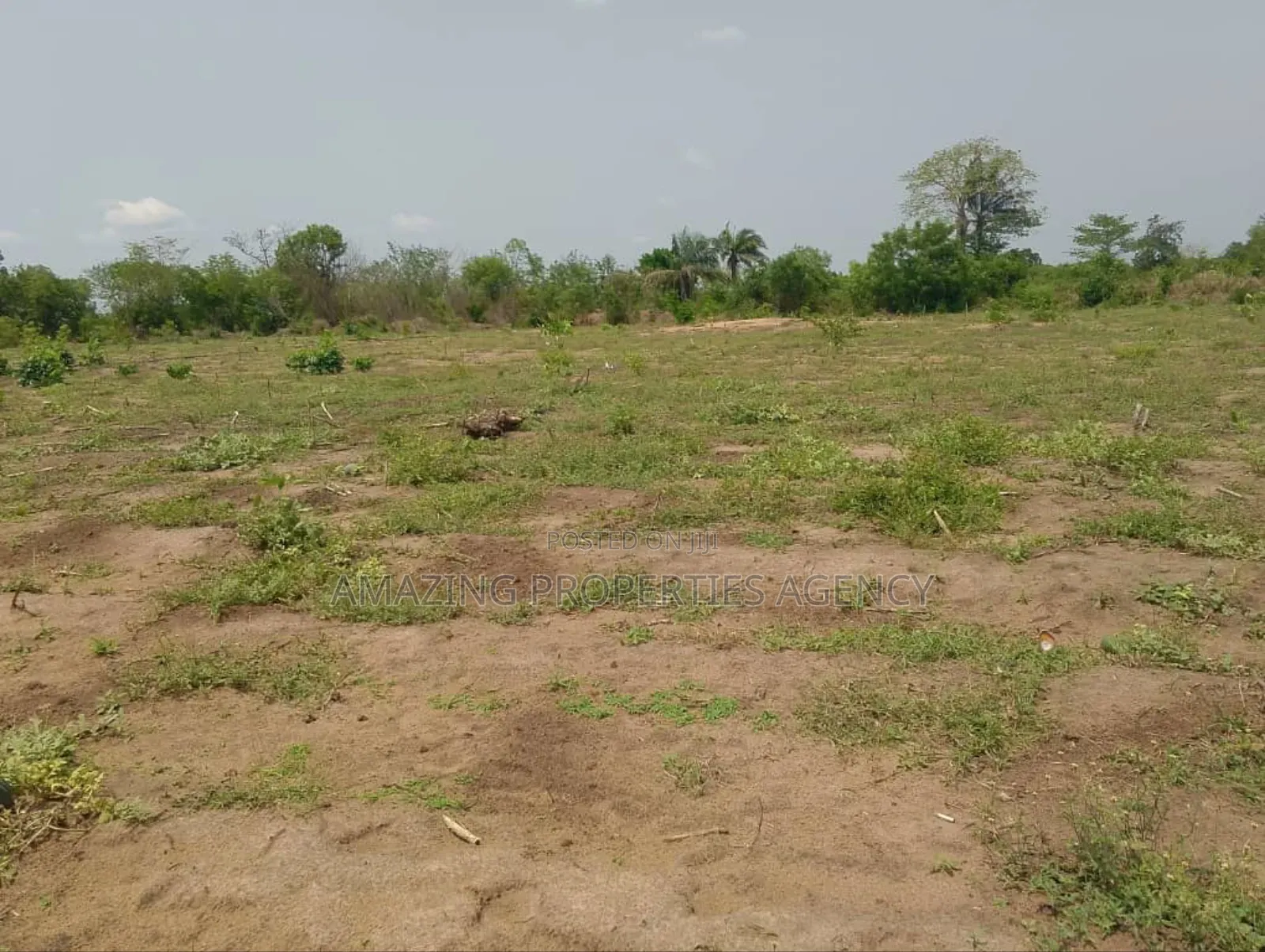 50 Acres of Land for Sake at Sakumono in Sakumono