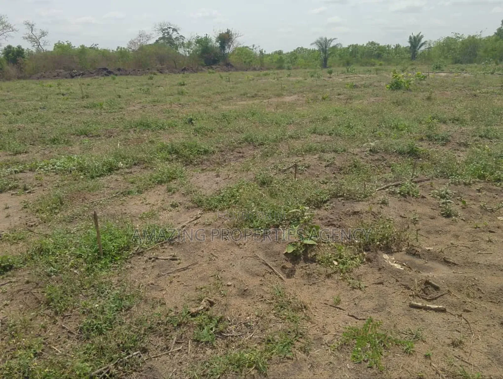 50 Acres of Land for Sake at Sakumono in Sakumono
